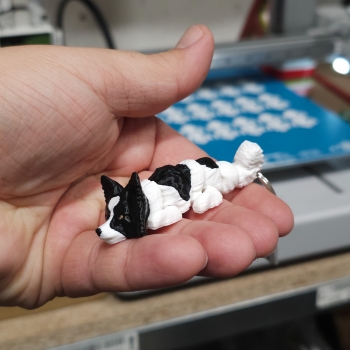 Papillon biało-czarny - brelok do kluczy